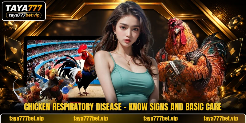 Chicken Respiratory Disease - Know Signs And Basic Care