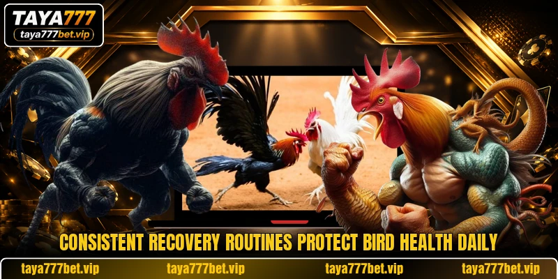 Consistent recovery routines protect bird health daily Consistent recovery routines protect bird health daily