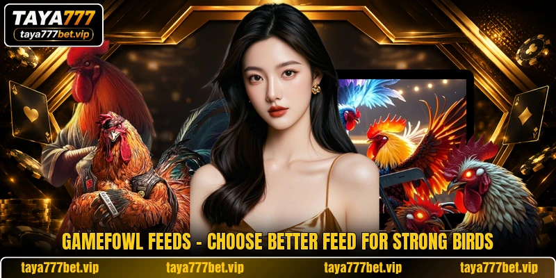 Gamefowl Feeds - Choose Better Feed For Strong Birds