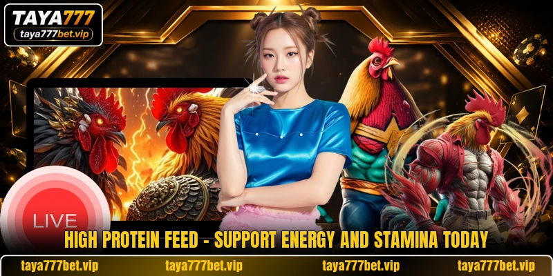 High Protein Feed - Support Energy And Stamina Today