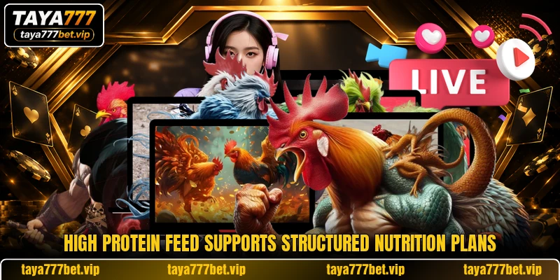 High Protein Feed supports structured nutrition plans High Protein Feed supports structured nutrition plans