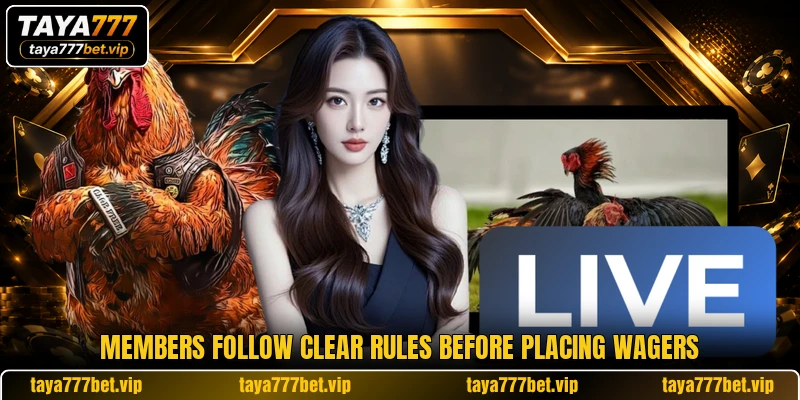 Members follow clear rules before placing wagers
