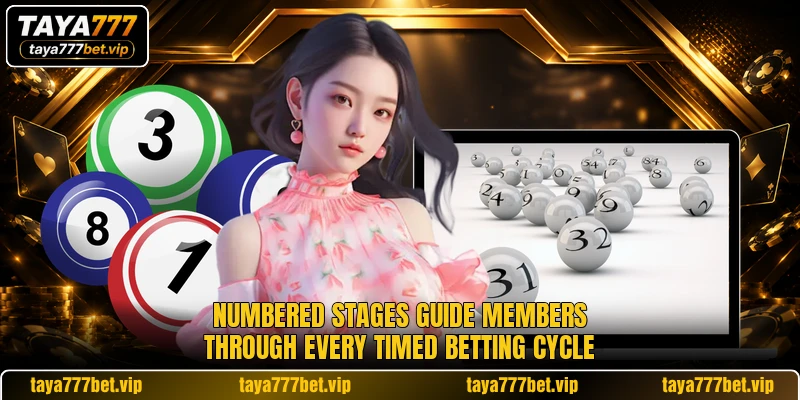 Numbered stages guide members through every timed betting cycle