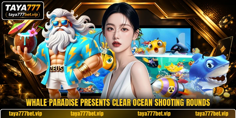 Whale Paradise presents clear ocean shooting rounds Whale Paradise presents clear ocean shooting rounds